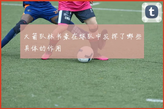 火箭队林书豪在球队中发挥了哪些具体的作用